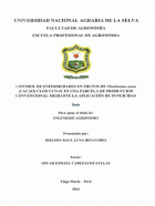 Portada local