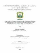 Portada local