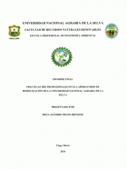 Portada local
