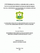 Portada local