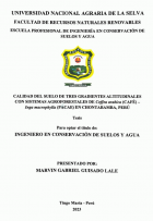 Portada local