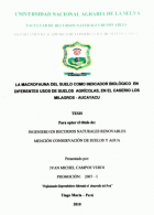 Portada local