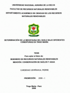 Portada local