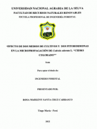 Portada local