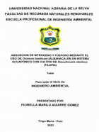 Portada local