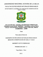 Portada local