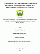 Portada local