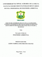 Portada local