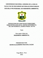 Portada local