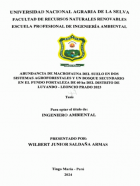 Portada local