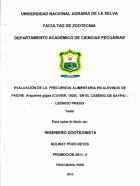 Portada local