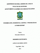 Portada local