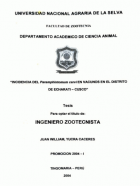 Portada local