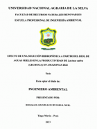 Portada local