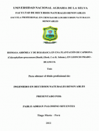 Portada local