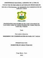 Portada local