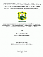 Portada local