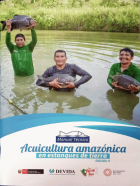 Portada local