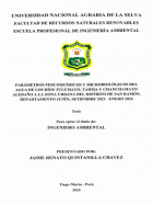 Portada local