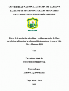Portada local