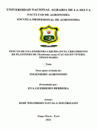 Portada local