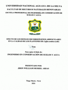Portada local