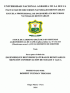 Portada local