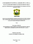 Portada local