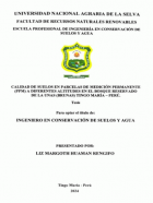 Portada local