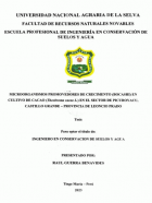 Portada local