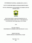Portada local