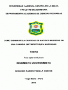 Portada local