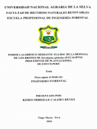 Portada local