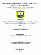 Portada local