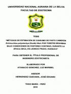 Portada local