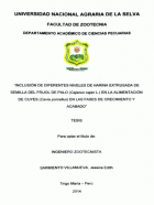 Portada local