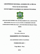 Portada local