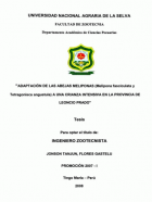 Portada local