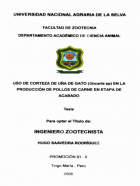 Portada local