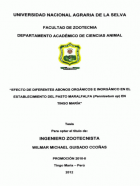 Portada local