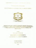 Portada local
