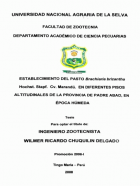 Portada local
