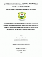 Portada local
