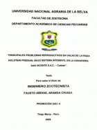 Portada local