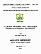 Portada local
