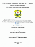 Portada local