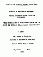 Portada local