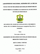 Portada local