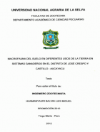Portada local