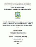 Portada local